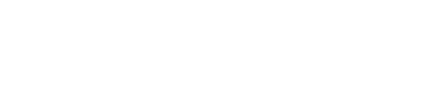 IT Services Management Ho Chi Minh city / VietNam